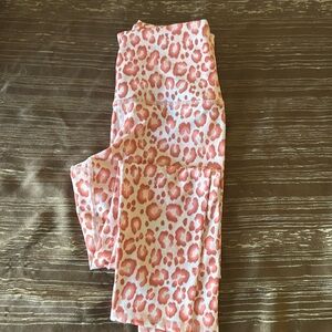 Evolution and Creation